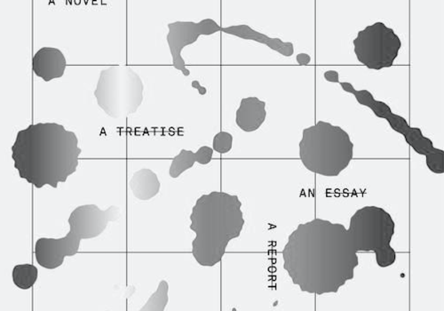 Unform. Zu Tom McCarthys „Satin Island“