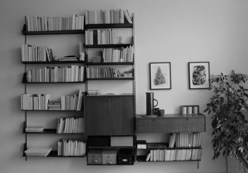 My white male bookshelf