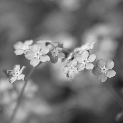 Mehr über den Artikel erfahren Eine Kunst des Vergessens?